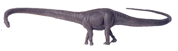 barosaurus